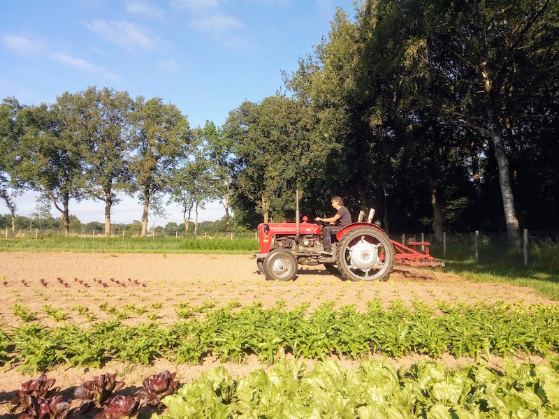 Tuinderij de Elzenkamp Tuinderij de Elzenkamp