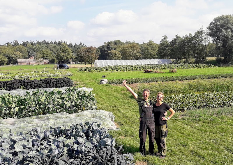 Tuinderij de Elzenkamp Tuinderij de Elzenkamp